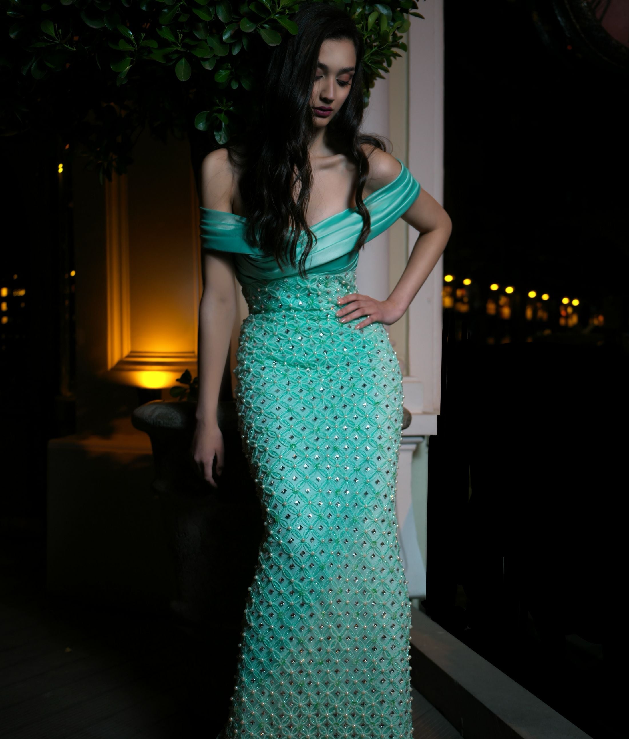 Haute Couture, Elegant Dress, Classic Dress