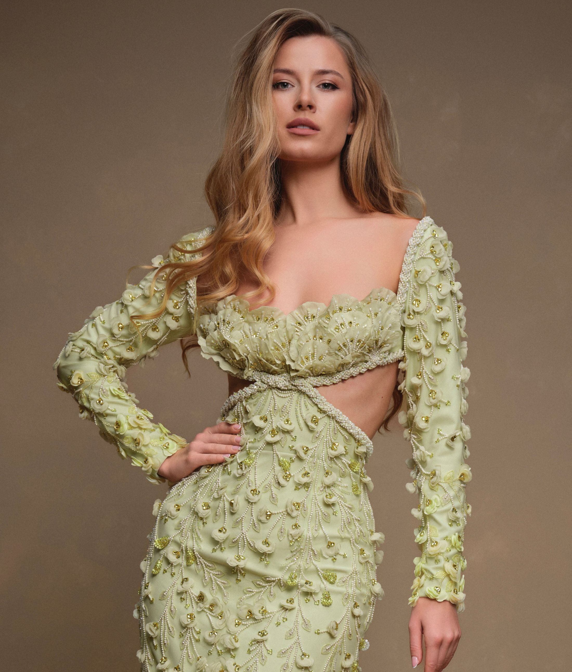 Haute Couture, Elegant Dress, Classic Dress