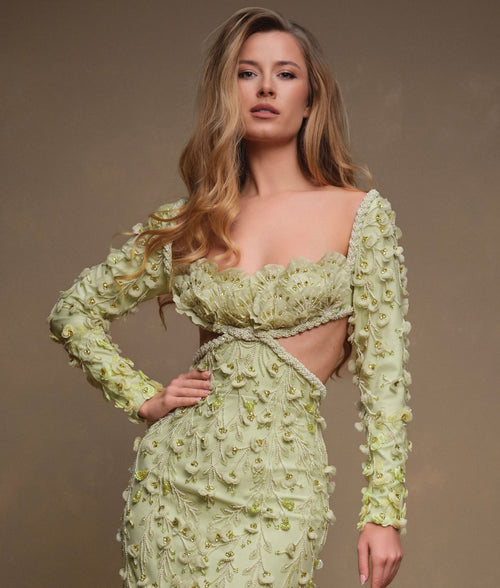 Haute Couture, Elegant Dress, Classic Dress